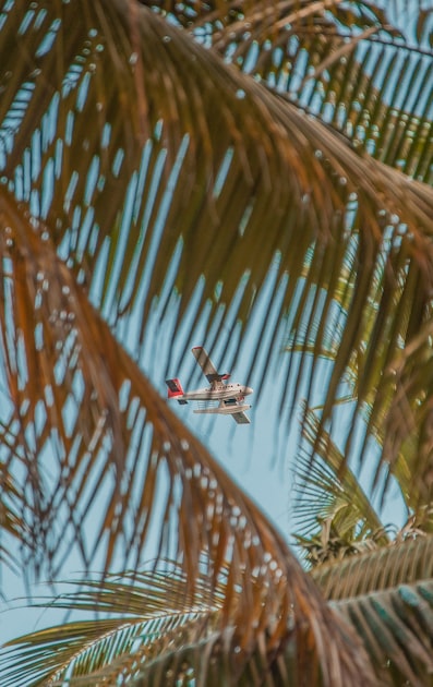 Luxury Flights: What to Expect